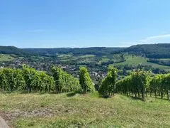 SOMMER II 2024 – Mittwoch, 14.08.